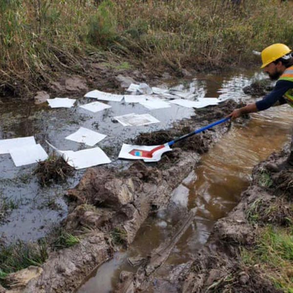 275850157_137767652083390_2384134326694371848_n