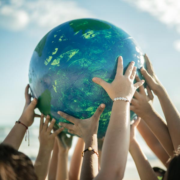 EnviroBee-1435661969