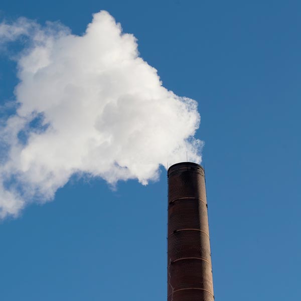 EnviroBEE-1206753526