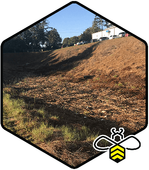Storm water regulation consulting by EnviroBEE in Fayetteville and Raleigh, NC